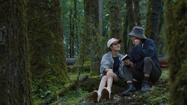 the forest